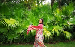 王瑞儿夜火全套种子